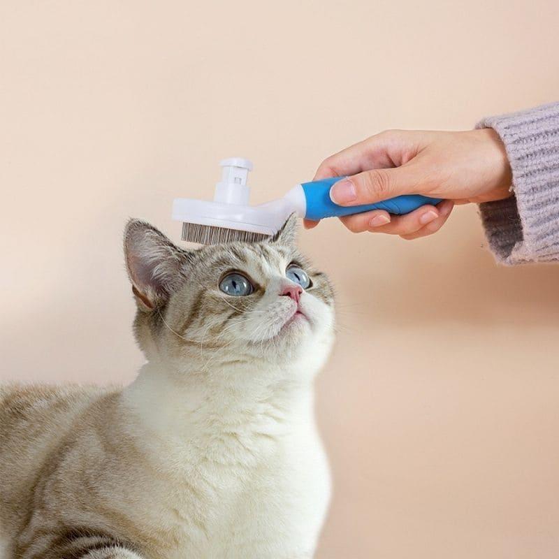 Escova Pet Para Cães e Gatos